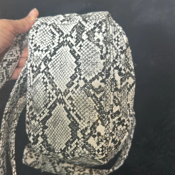 Steve Madden Black & White Faux Snake Print Mini Backpack Silver Embellishments main image 10